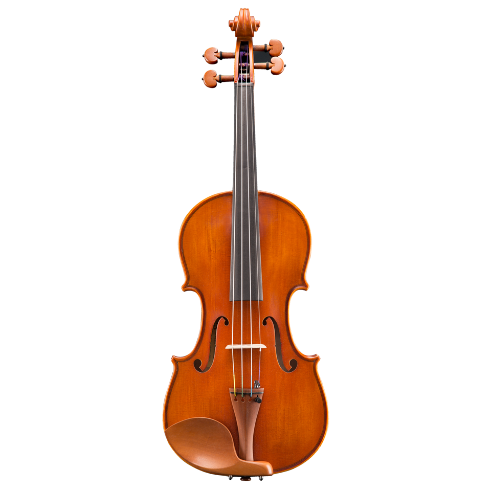 johnstonbaugh-s-music-centers-eastman-vl200-step-up-4-4-violin-outfit